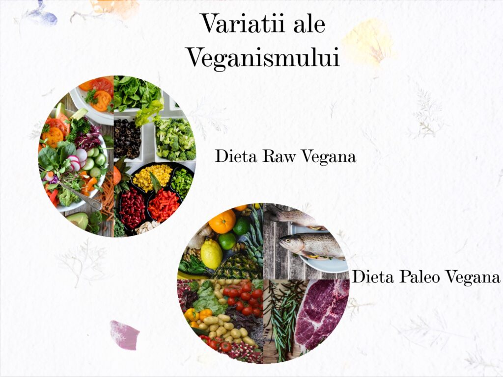 Diferențele dintre Vegetarian, vegan și raw vegan